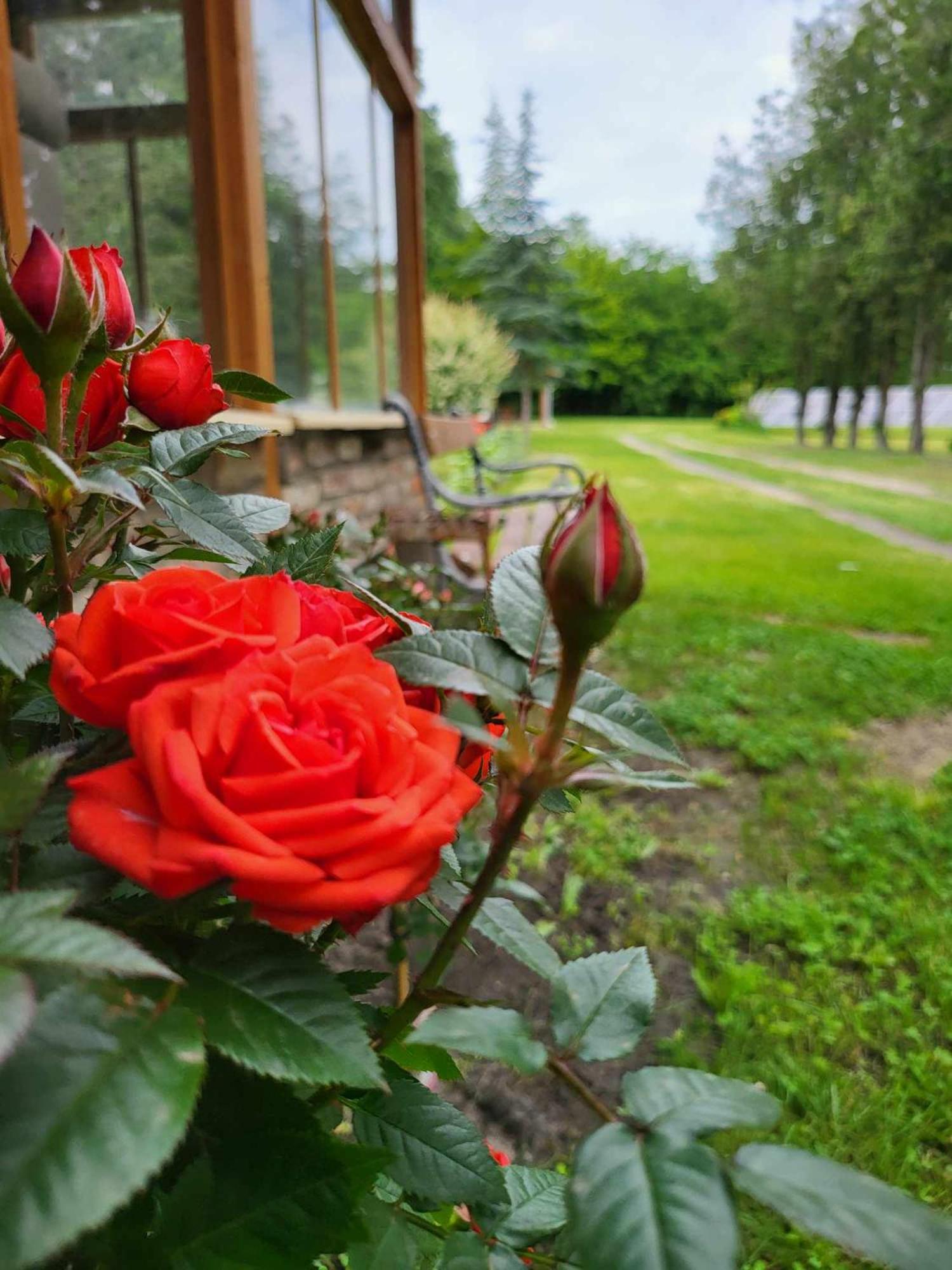 Вилла Gyoember Tanya Asotthalom Экстерьер фото